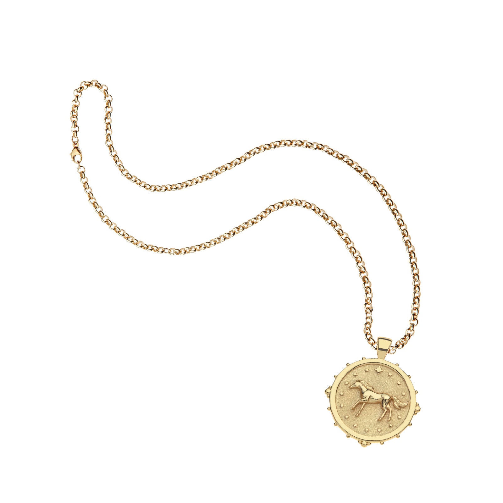 Horse coin pendant on grande rolo chain