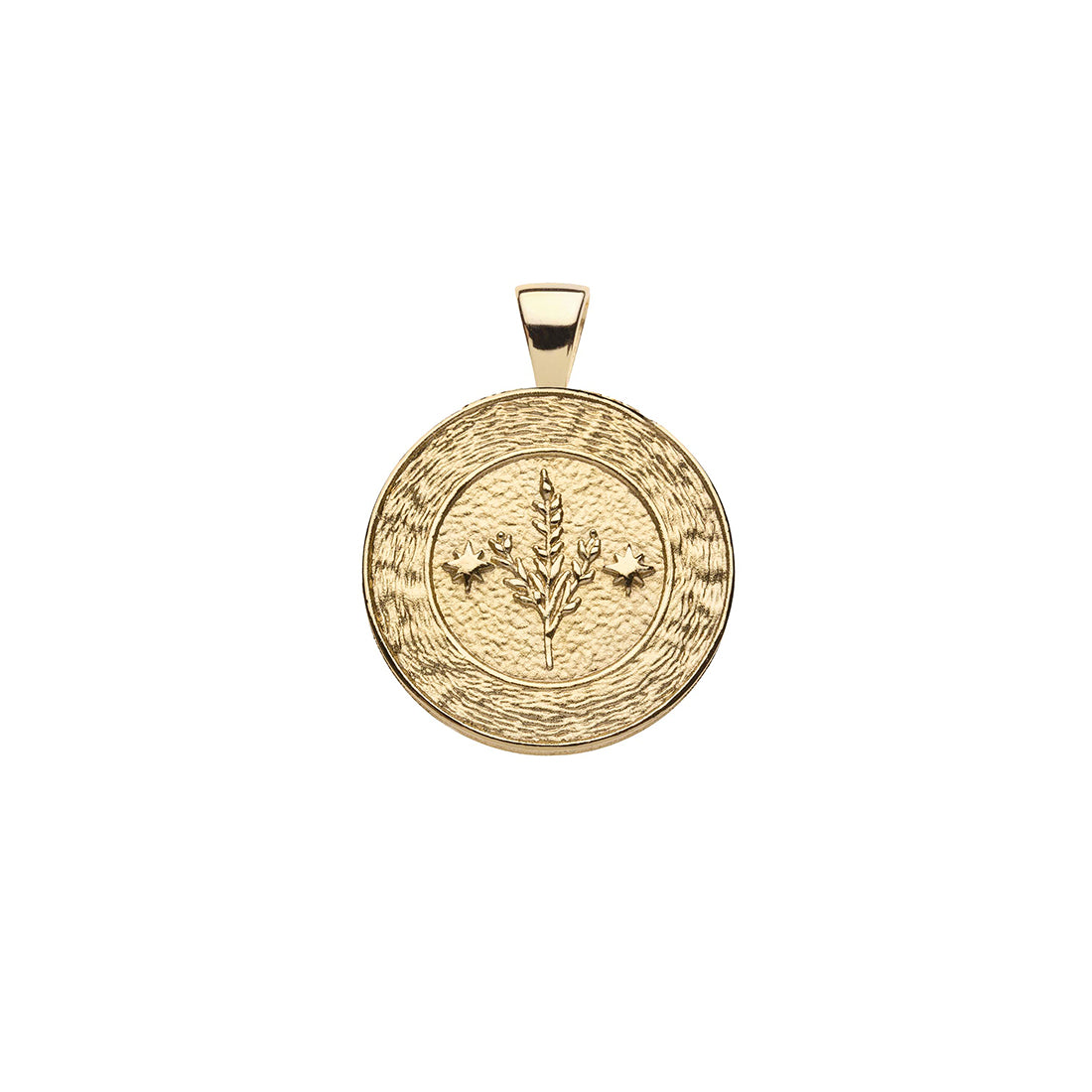 Gold small Virgo coin pendant features a textured border with stem of leaves in the center with two stars