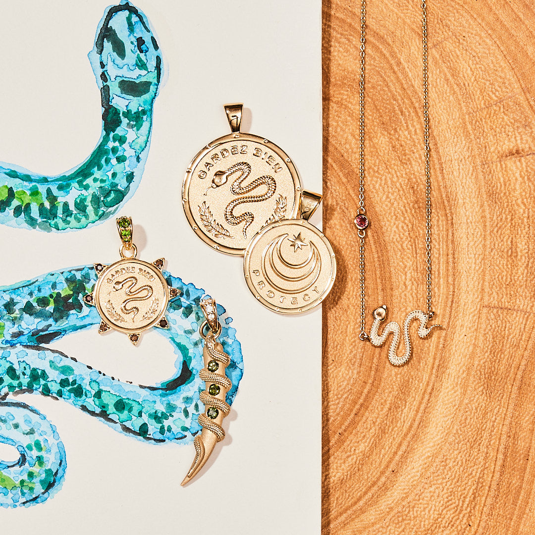Stylized shot of protect coins with watercolor snake