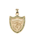 PROTECT Shield Pendant