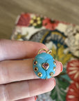 Video of turquoise ladybug