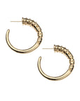 Gold tusk inspired hoops with textured details, stars, and crescent moons.