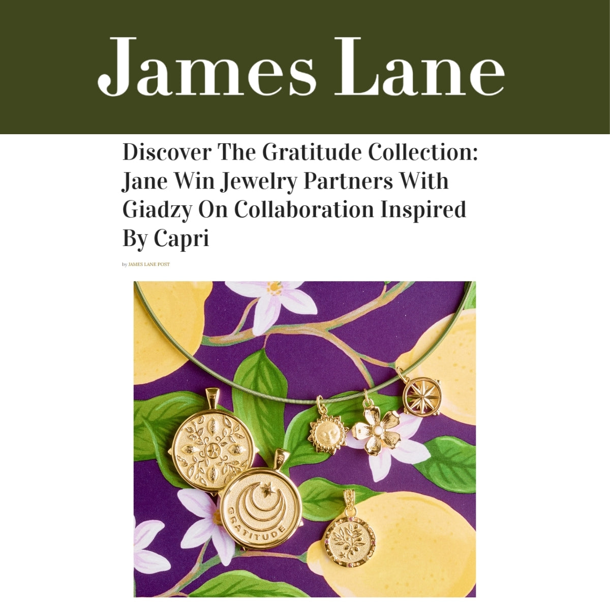 Press Highlight: James Lane Post covers Jane Win x Giadzy Collaboration