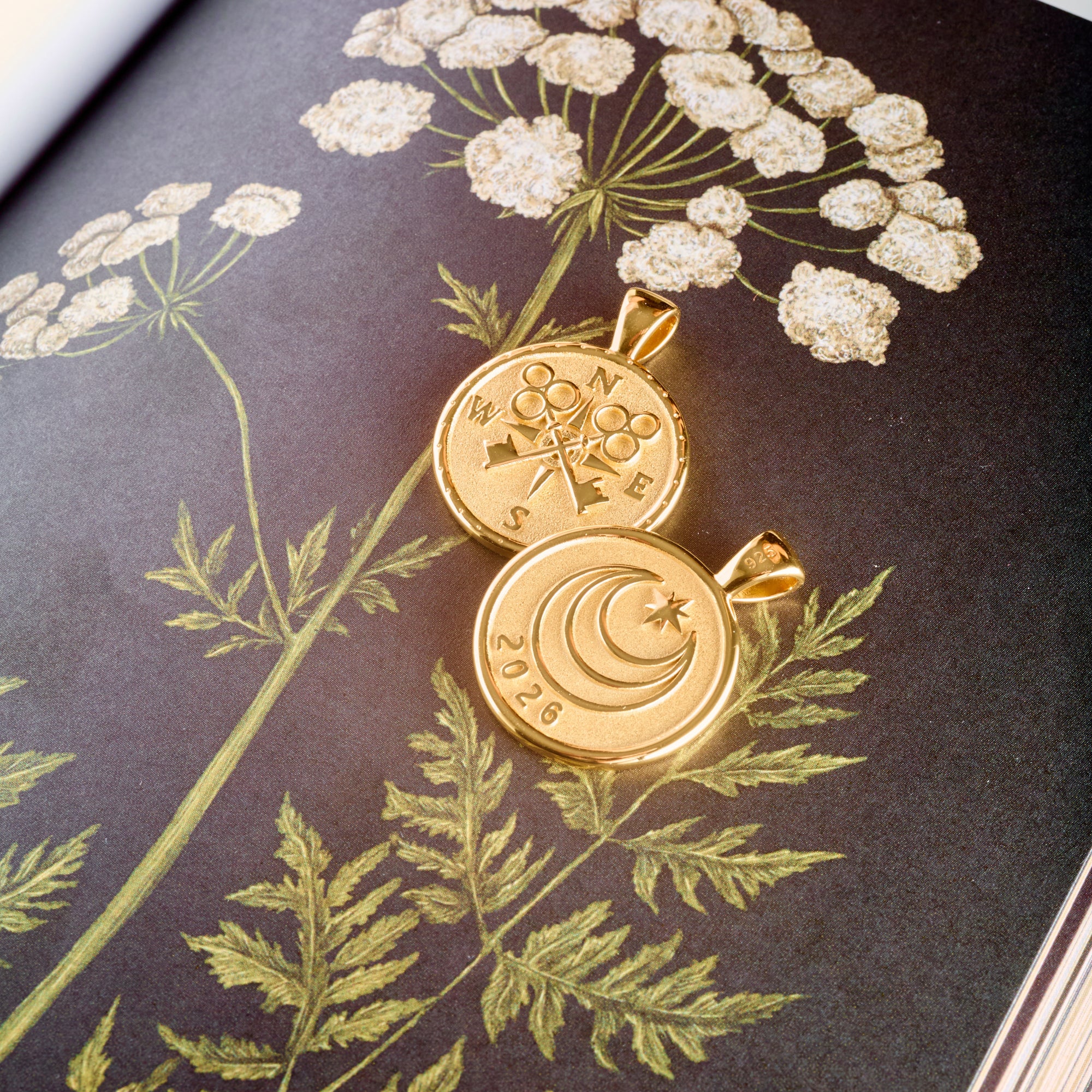 Stylized shot of forever 2026 coins on an illustration of a flower