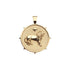 Gold Coin Pendant with Lion and star 