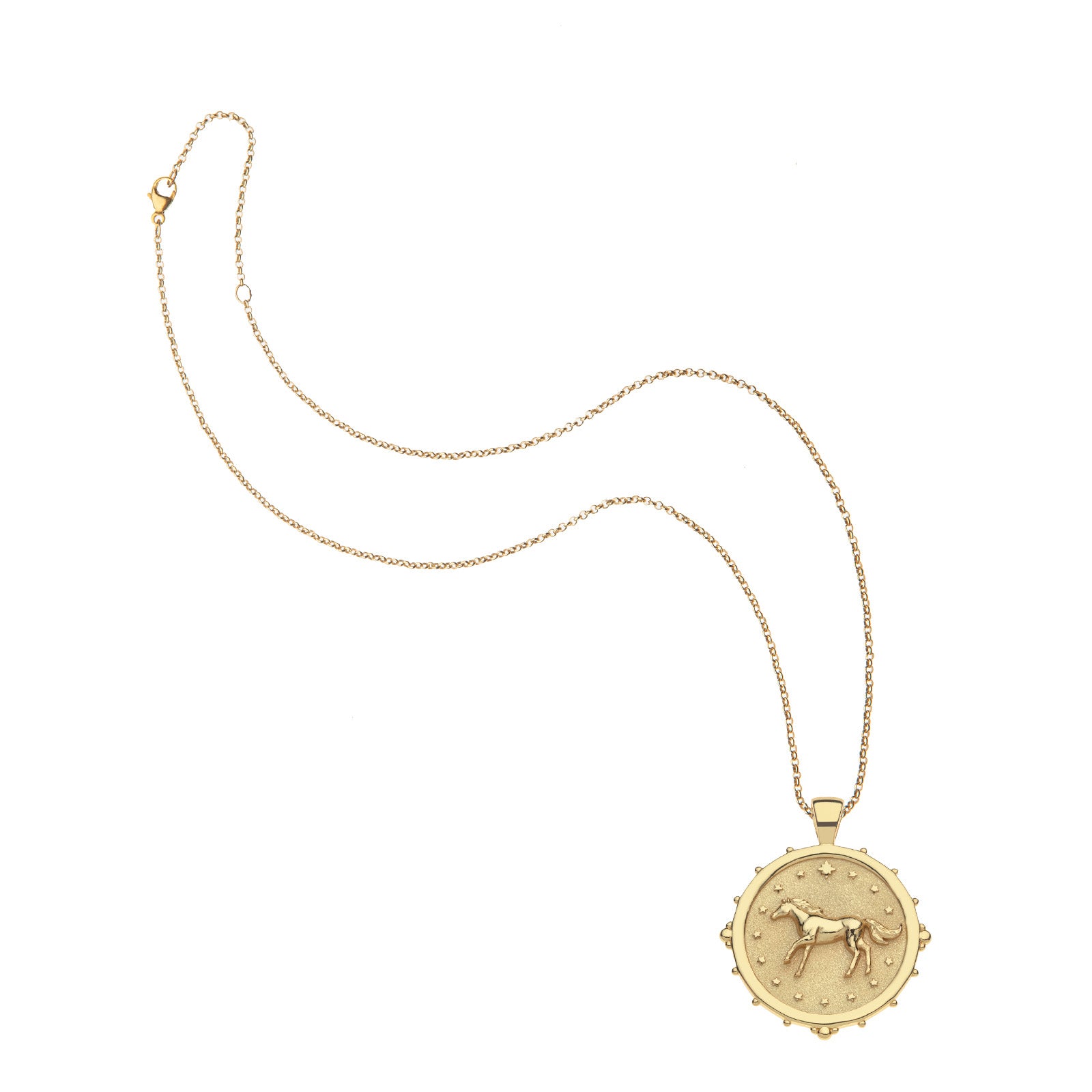 Horse coin pendant on classic rolo chain