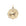 Gold Coin Pendant with Lion and star illustration