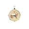 Gold Coin Pendant with Lion and star illustration