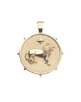 Gold Coin Pendant with Lion and star illustration