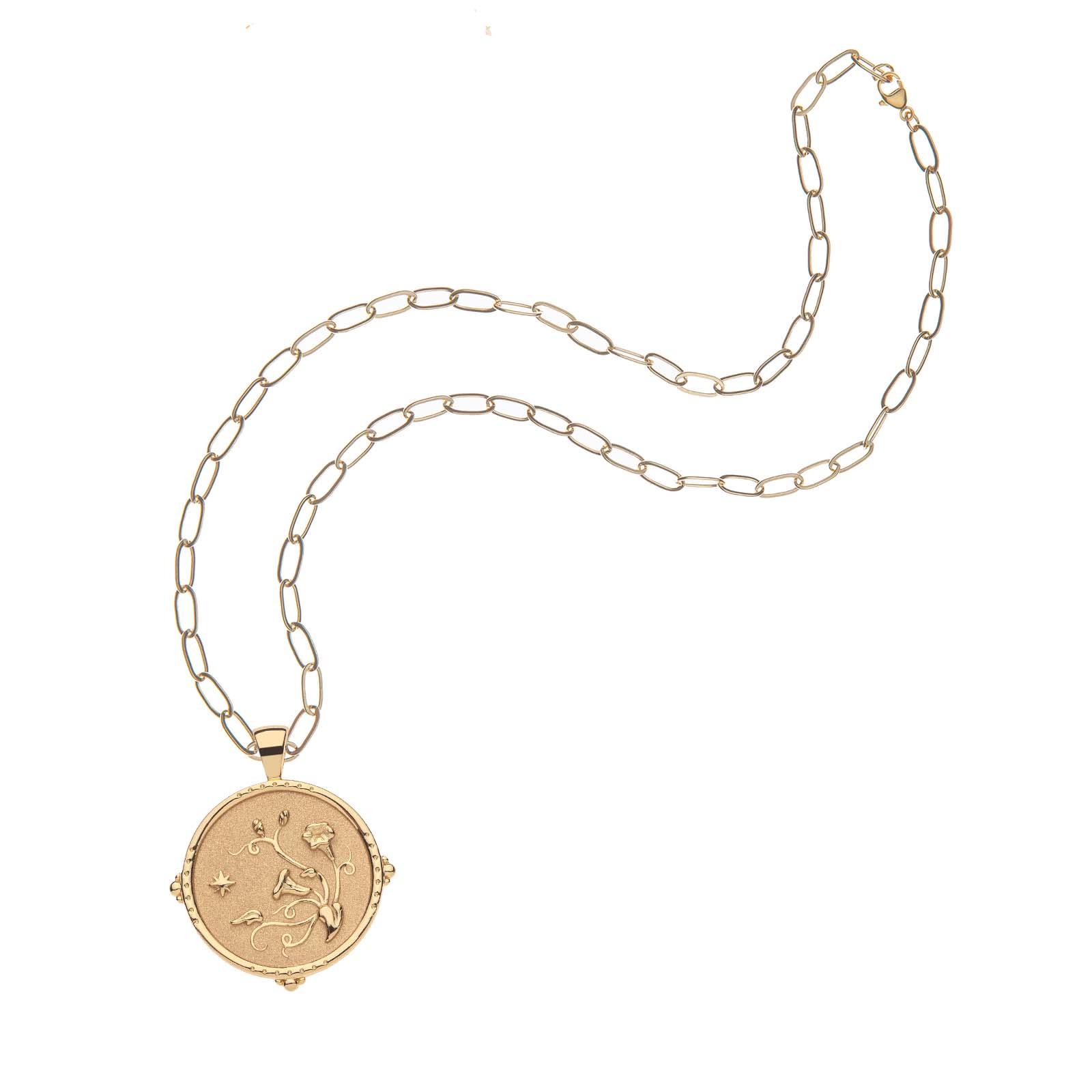 Gold Coin on Gold Drawn Link Chain