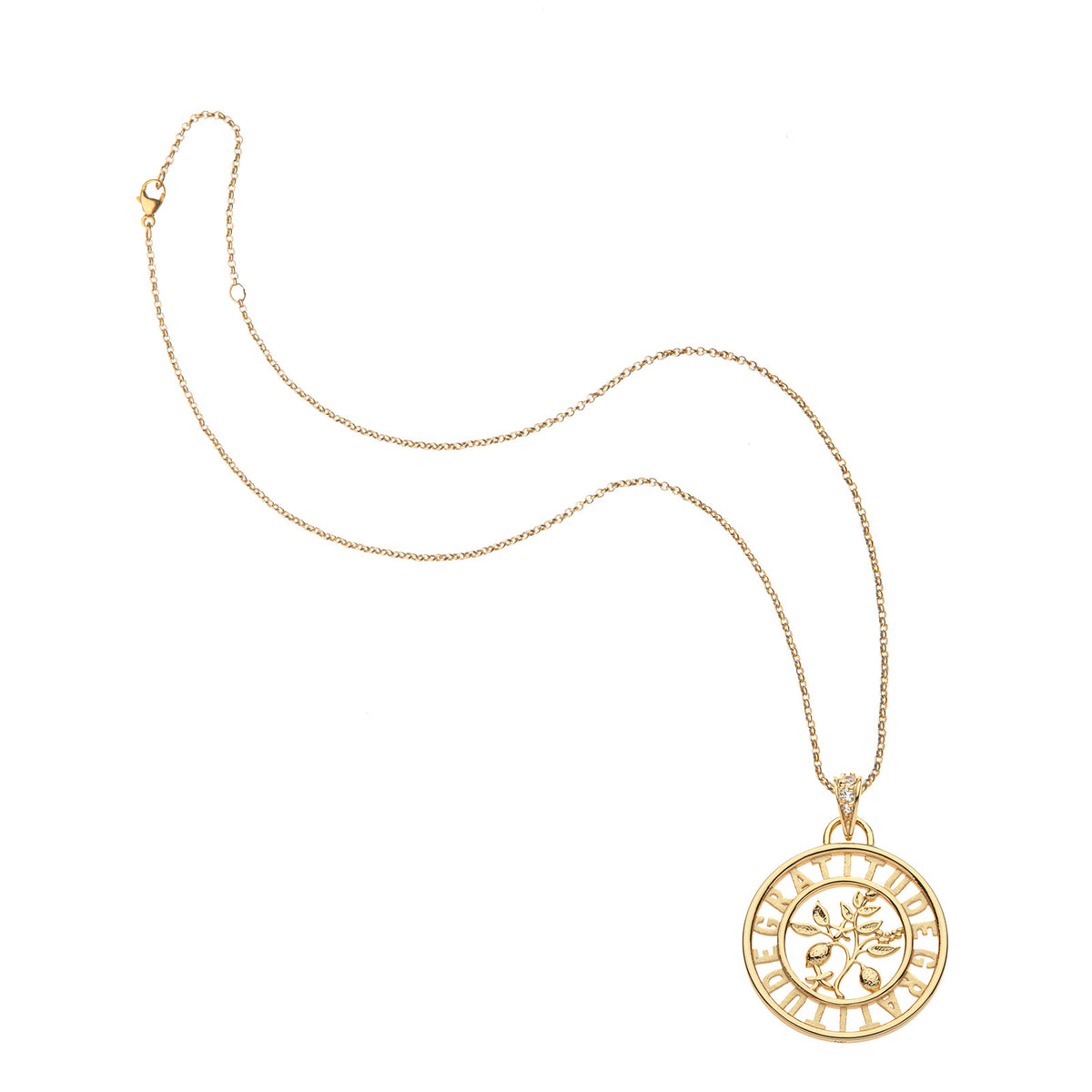 GRATITUDE Cutout Word Coin