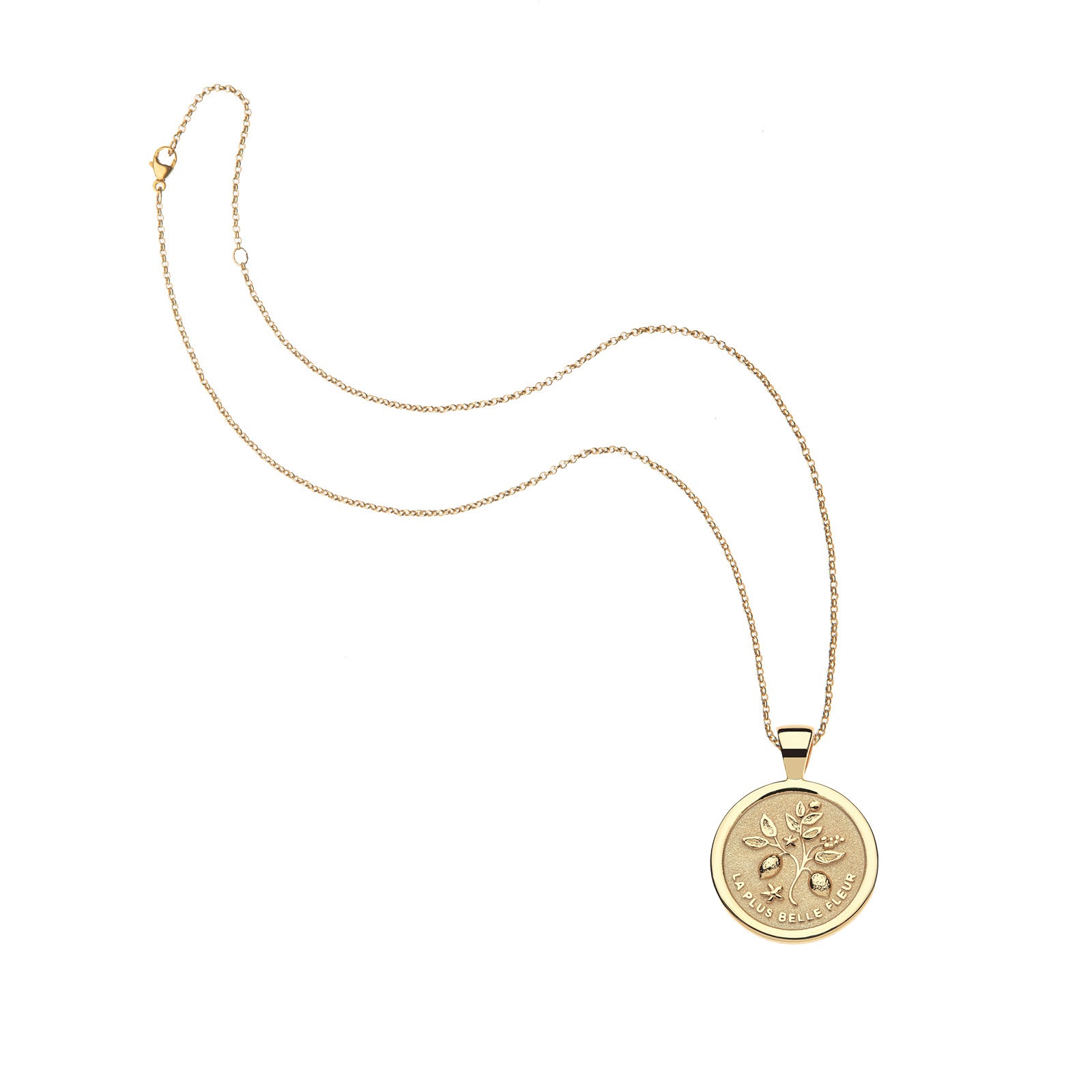 Gratitude small coin on the classic rolo chain
