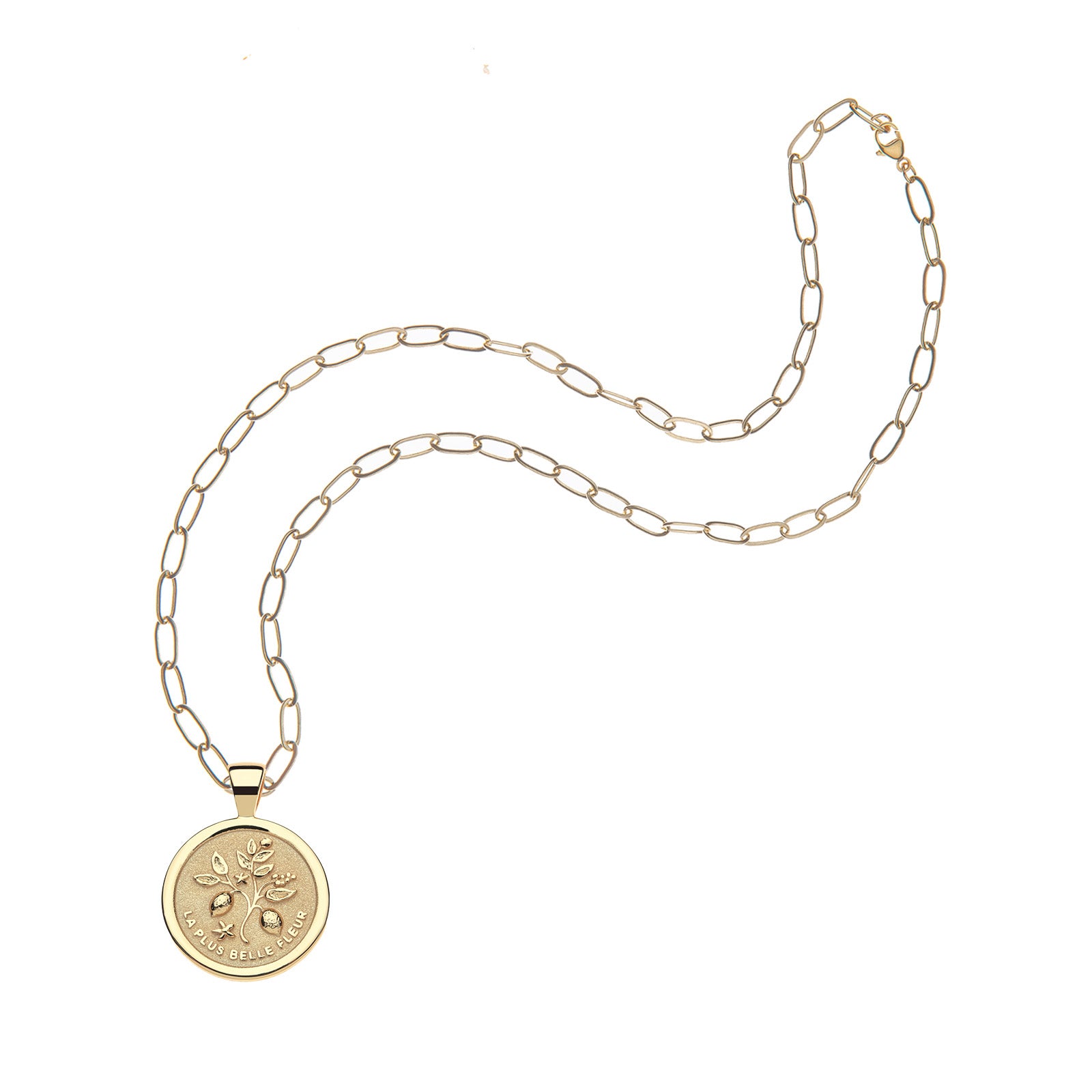 Gratitude small coin on the drawn link chain