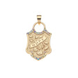 HOPE Shield Pendant