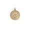 Gold Coin Pendant with Four leaf clover and horseshoe illustration