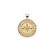 Gold small Virgo coin pendant features a textured border with stem of leaves in the center with two stars