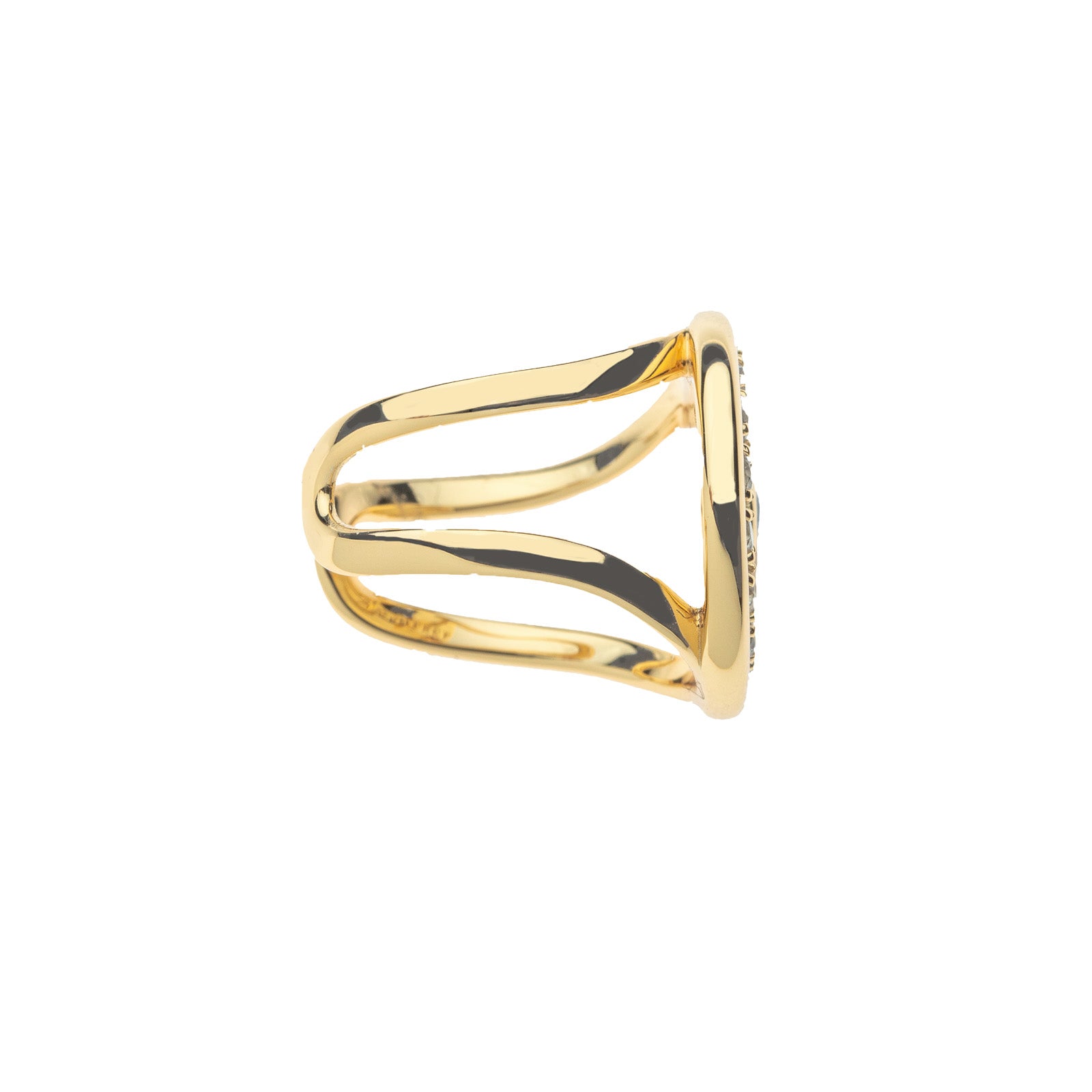Side view of protect eye on you ring