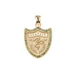 PROTECT Shield Pendant