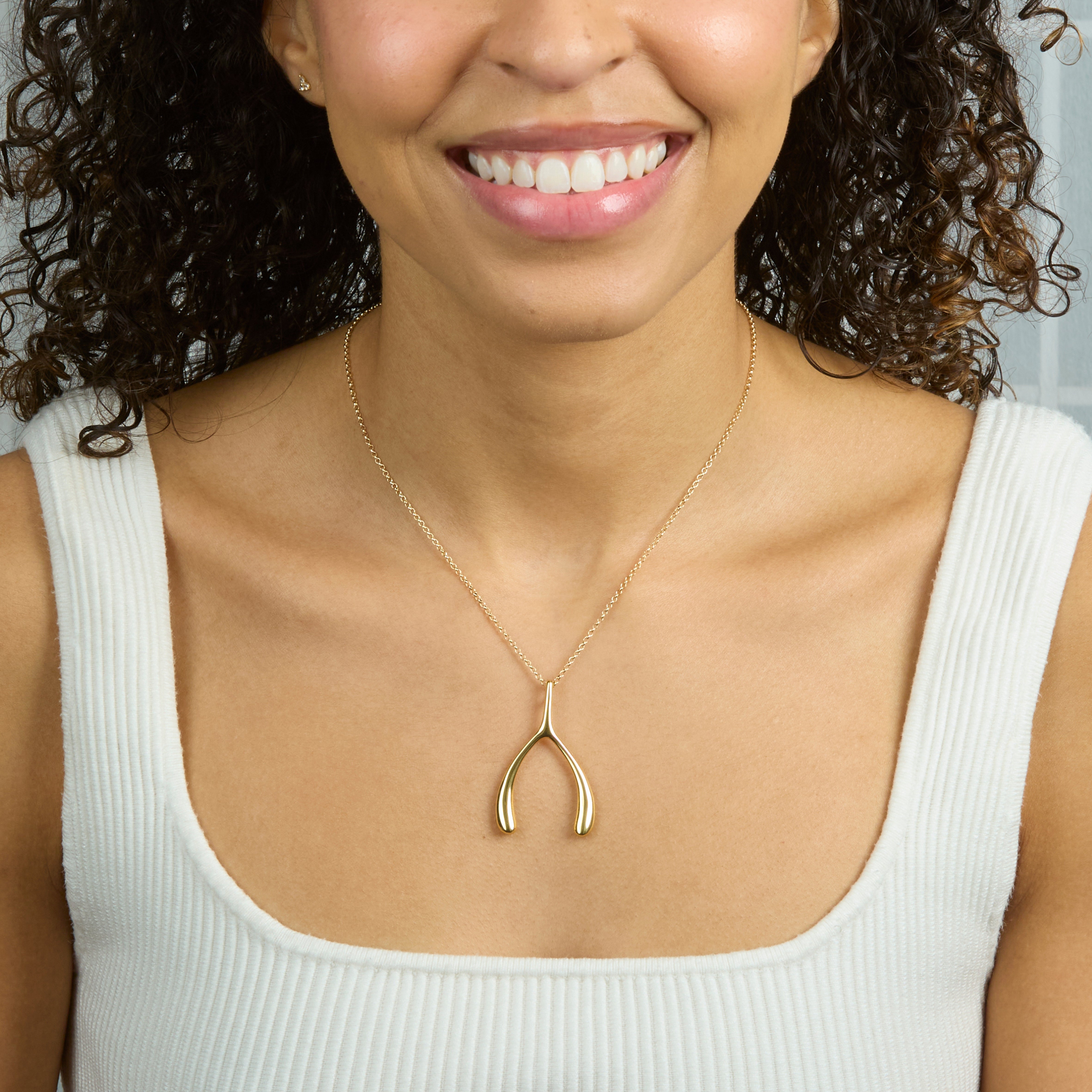 LUCKY Gold Wishbone Pendant – Jane Win Jewelry