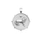 Silver Coin Pendant with Lion and star 