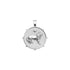 Silver Small Coin Pendant with Lion and star 