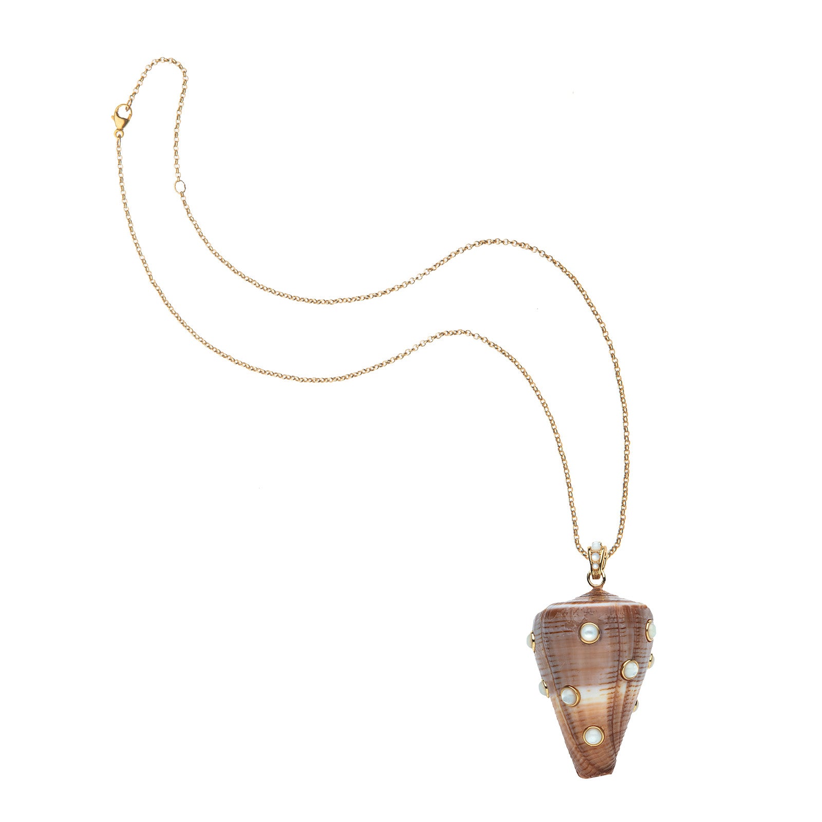 Strong decked out shell on the classic rolo chain 