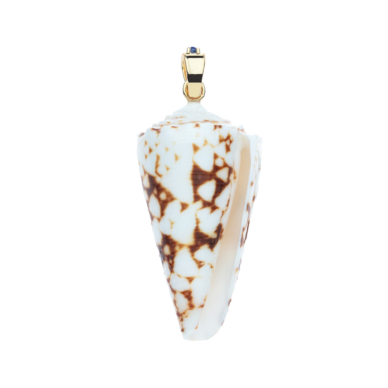 Back view of the strong in the shallows seashell pendant