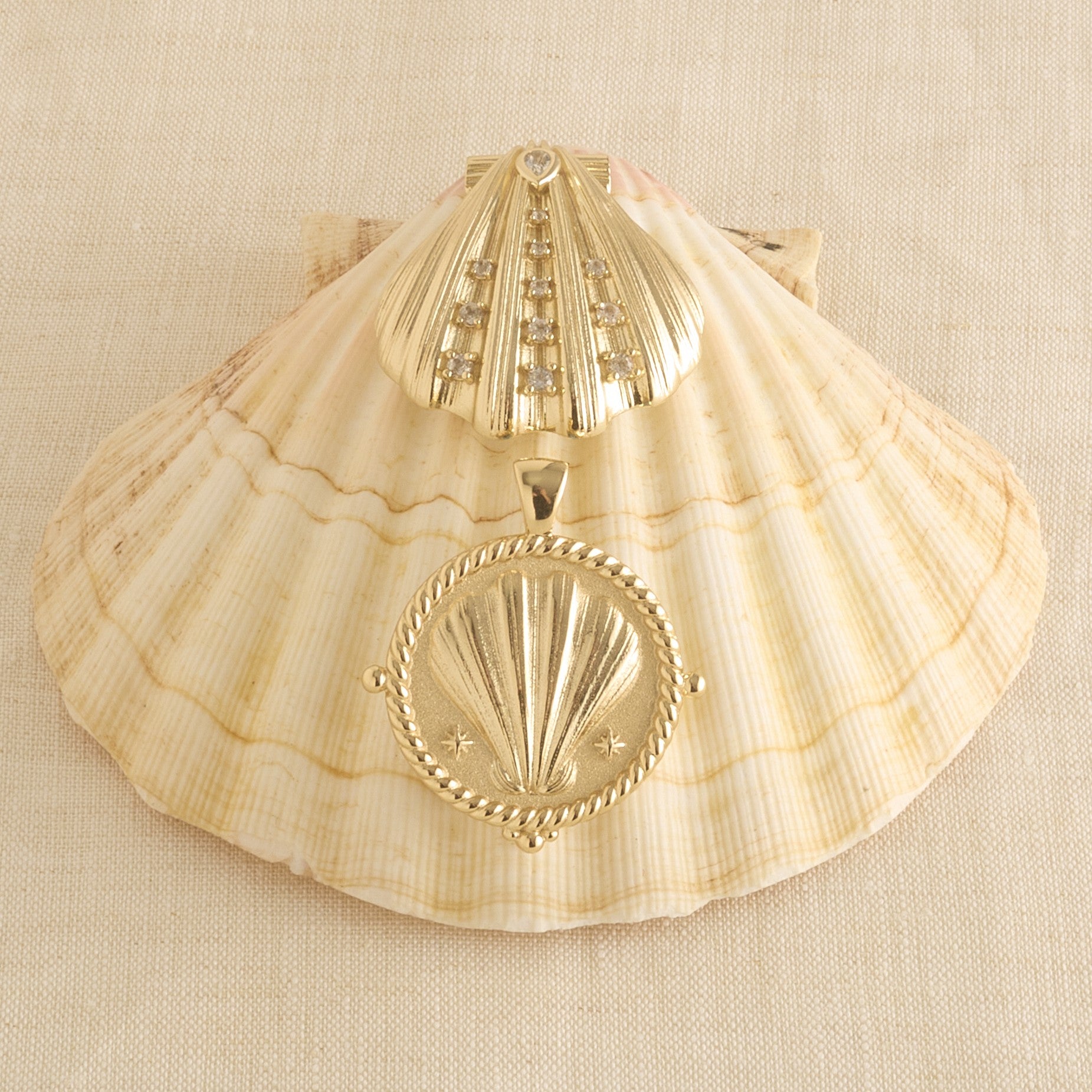 Stylized shot of clamshell coin and clamshell pendant on a real clamshell