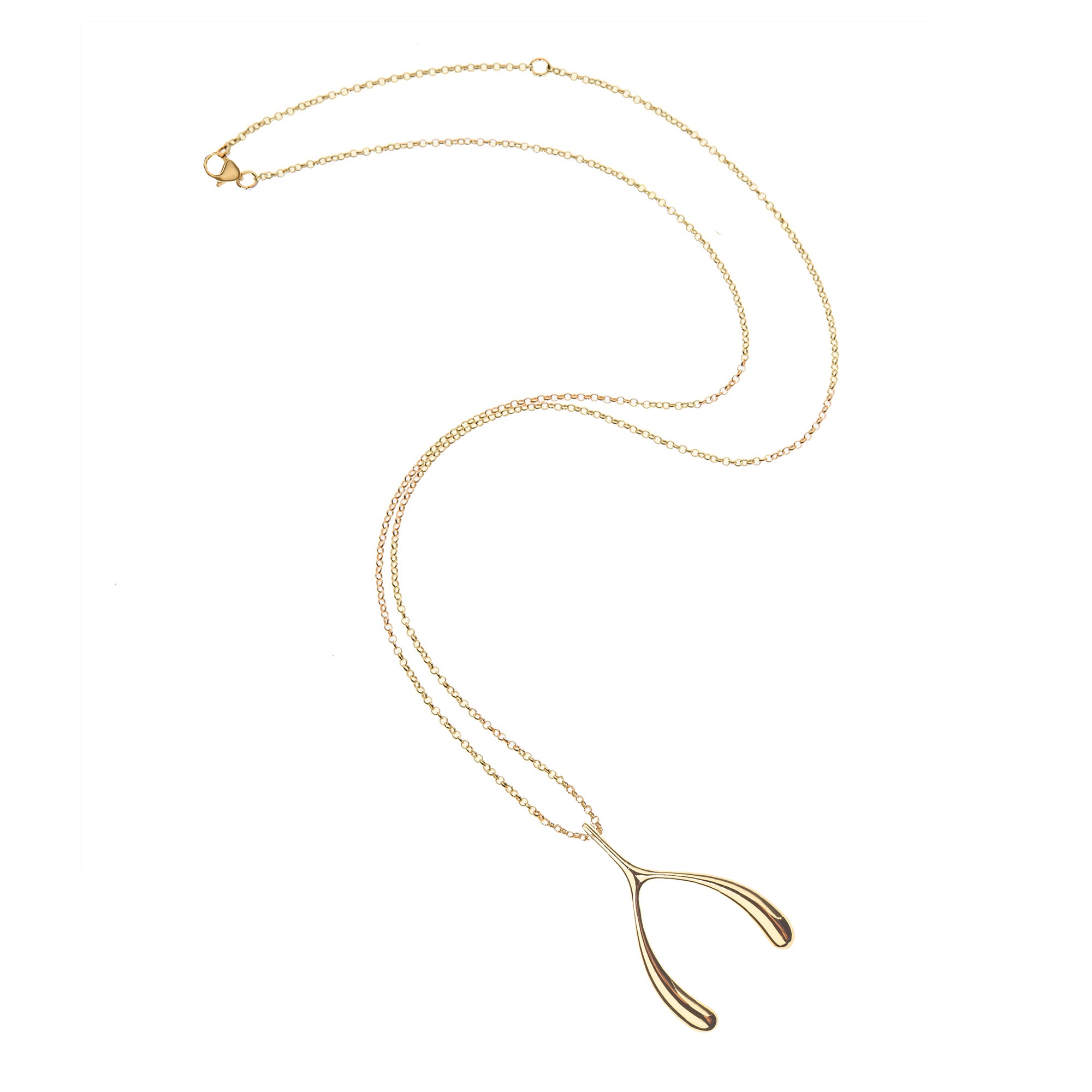 LUCKY Gold Wishbone Pendant – Jane Win by Jane Winchester Paradis