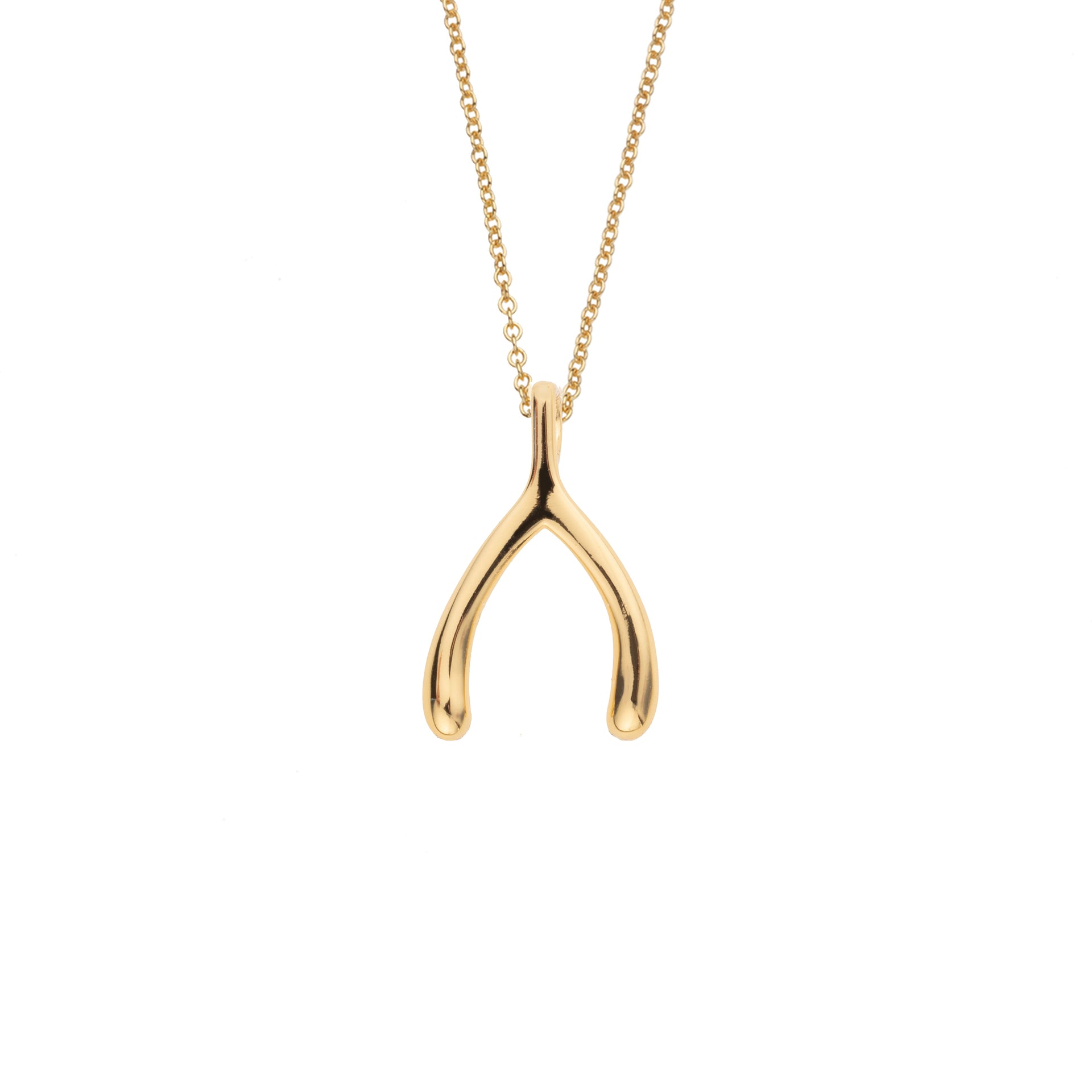 LUCKY Gold Mini Wishbone Pendant in 10k – Jane Win by Jane Winchester ...