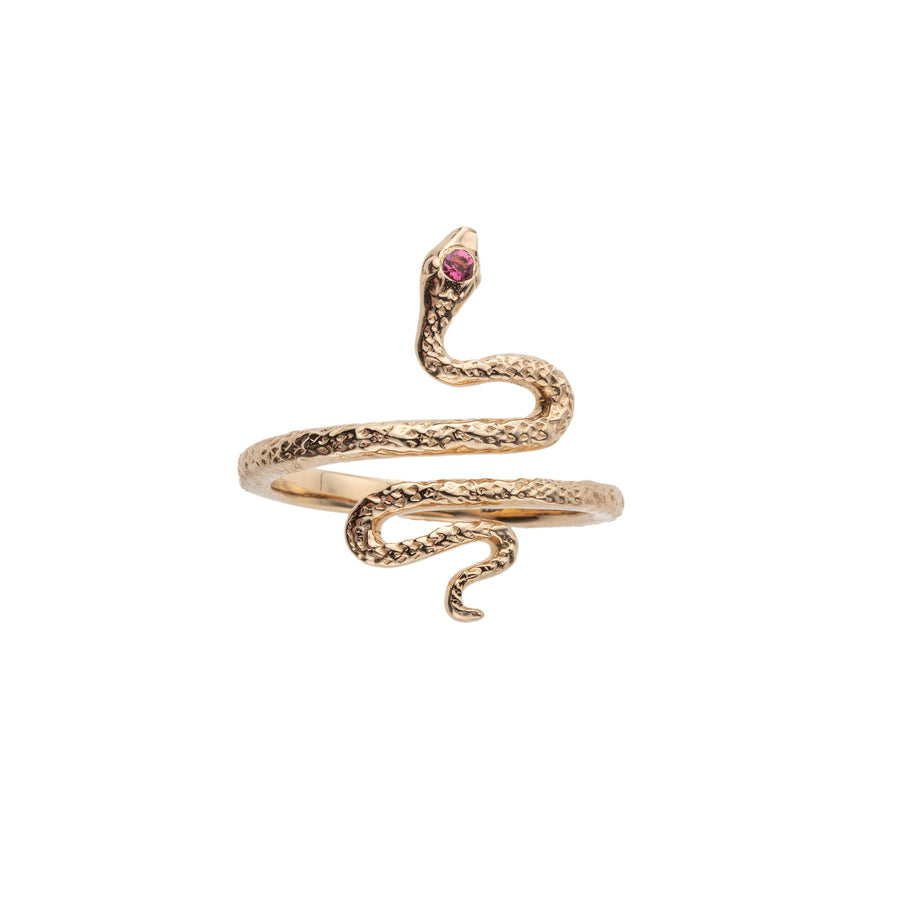 PROTECT Snake Ring in 10k Gold