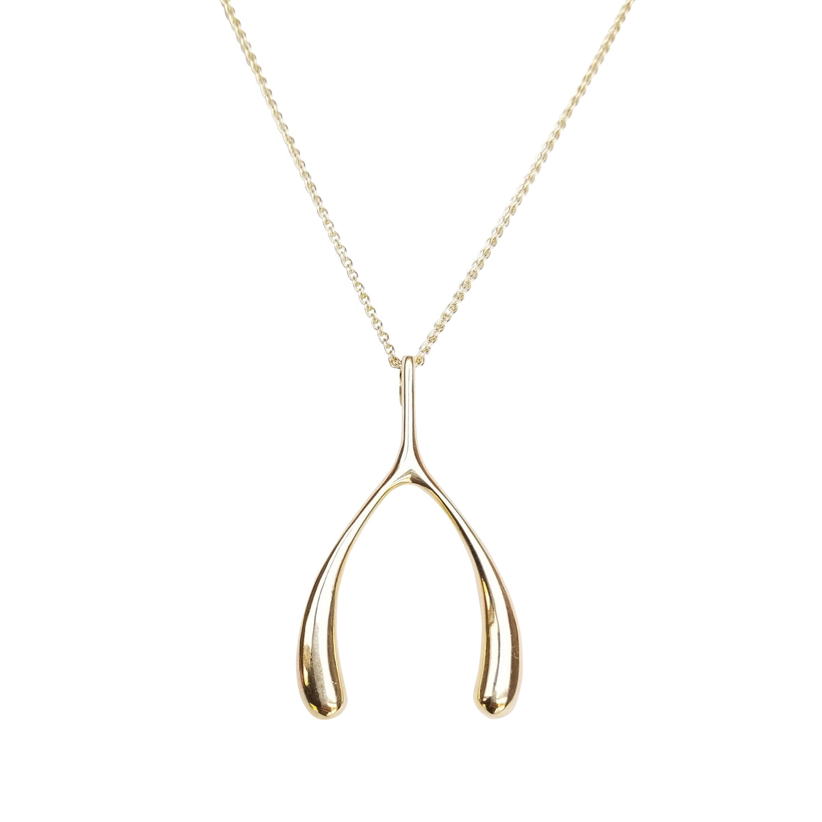 LUCKY Gold Wishbone Pendant – Jane Win by Jane Winchester Paradis